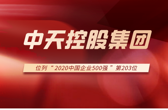 美狮贵宾会集团列2020中国企业500强第203位！